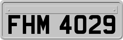 FHM4029