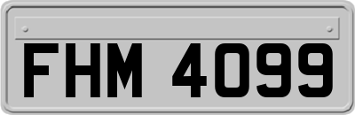 FHM4099