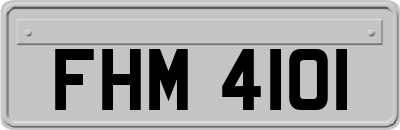 FHM4101