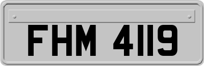 FHM4119