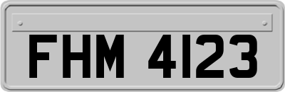 FHM4123