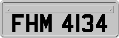 FHM4134