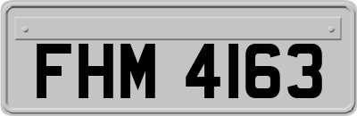 FHM4163