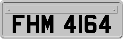 FHM4164