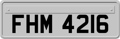 FHM4216
