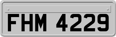FHM4229