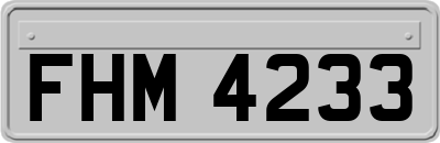 FHM4233