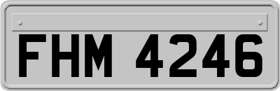 FHM4246