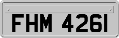 FHM4261