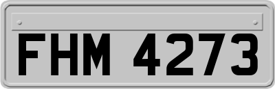 FHM4273