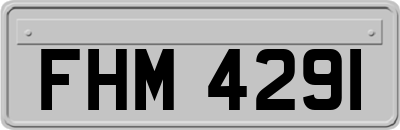 FHM4291