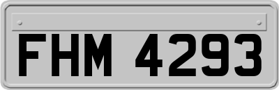 FHM4293