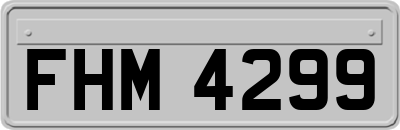 FHM4299