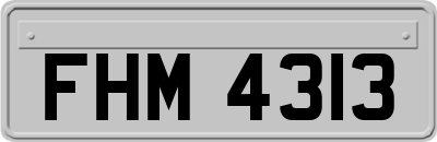 FHM4313