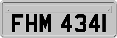 FHM4341