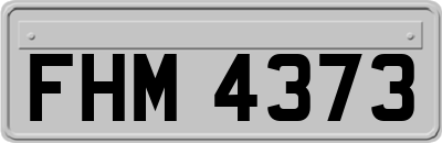 FHM4373