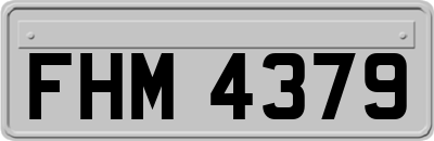 FHM4379