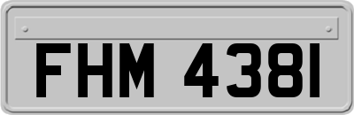 FHM4381