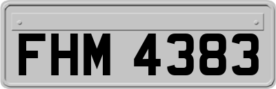 FHM4383
