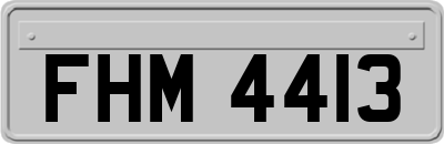 FHM4413
