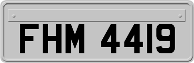 FHM4419