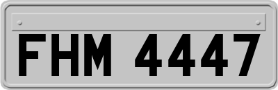FHM4447