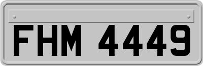 FHM4449