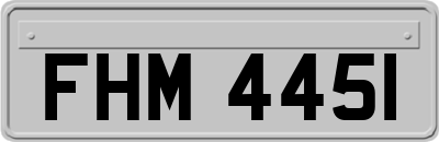 FHM4451