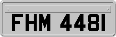 FHM4481
