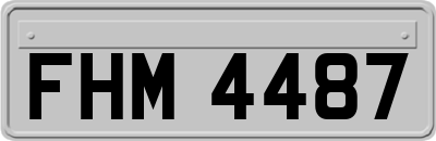 FHM4487