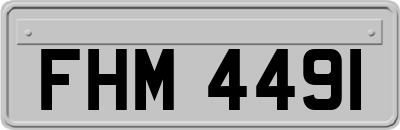 FHM4491