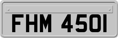 FHM4501