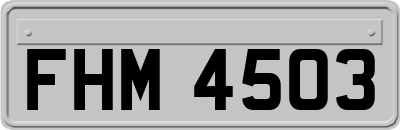 FHM4503