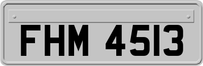 FHM4513