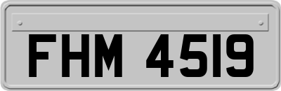 FHM4519