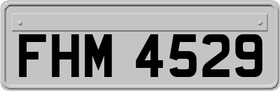 FHM4529