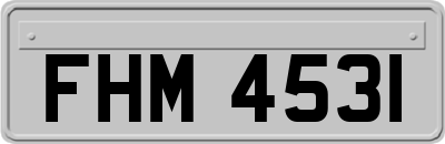 FHM4531