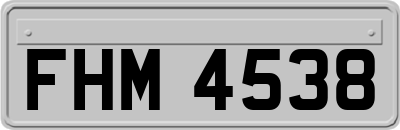 FHM4538
