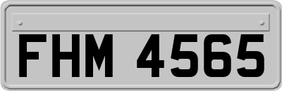 FHM4565