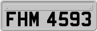 FHM4593