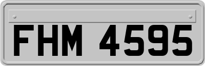 FHM4595