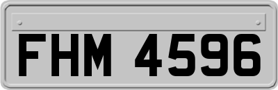 FHM4596