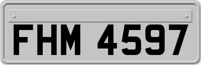 FHM4597