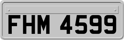 FHM4599