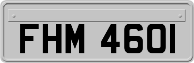 FHM4601