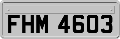 FHM4603