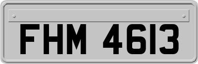FHM4613