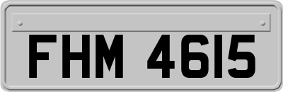 FHM4615