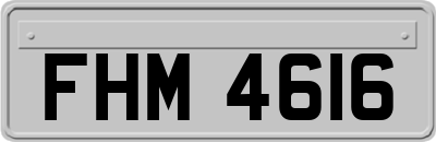 FHM4616
