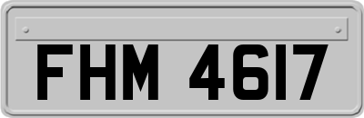 FHM4617